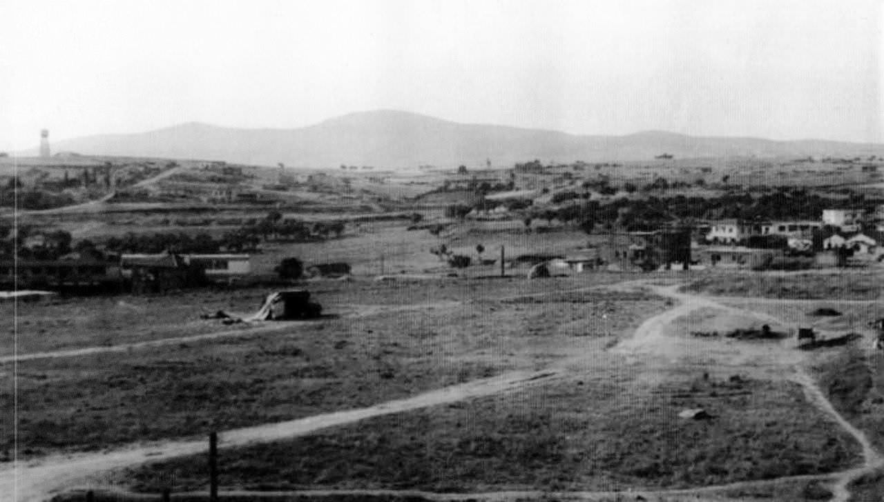 kartal-3994.jpg