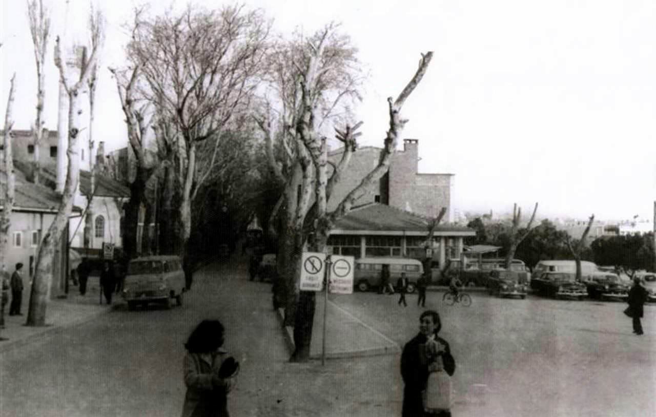 kartal-5543.jpg