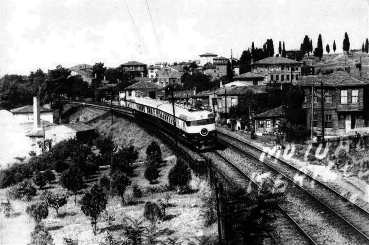 kartal-8389.jpg