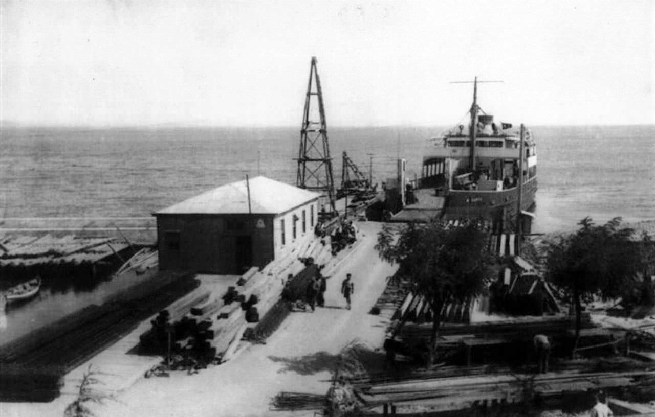 kartal-8827.jpg