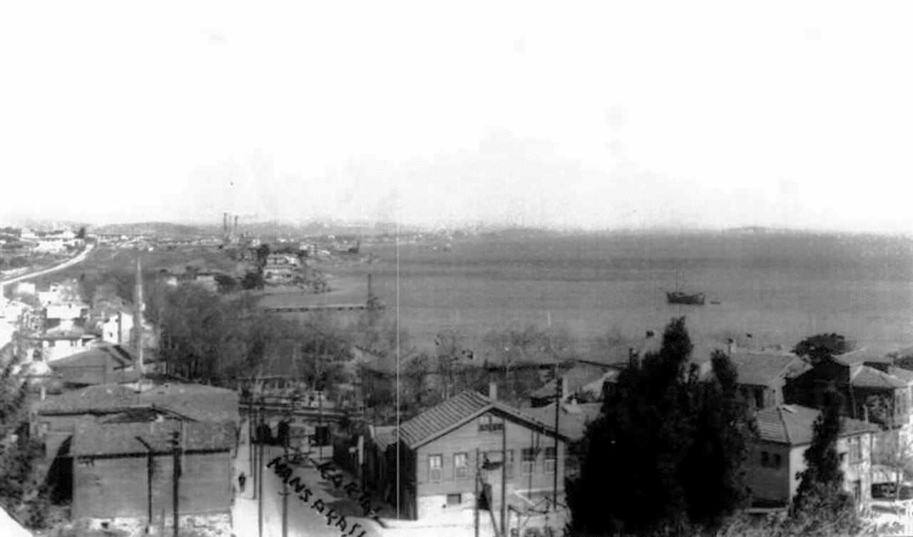 kartal-9098 (1).jpg