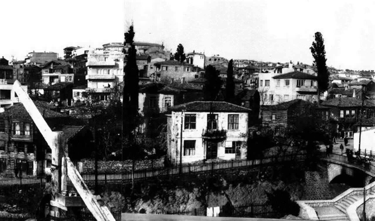 kartal-9847.jpg