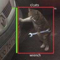 KEDİ SAMA.jpg