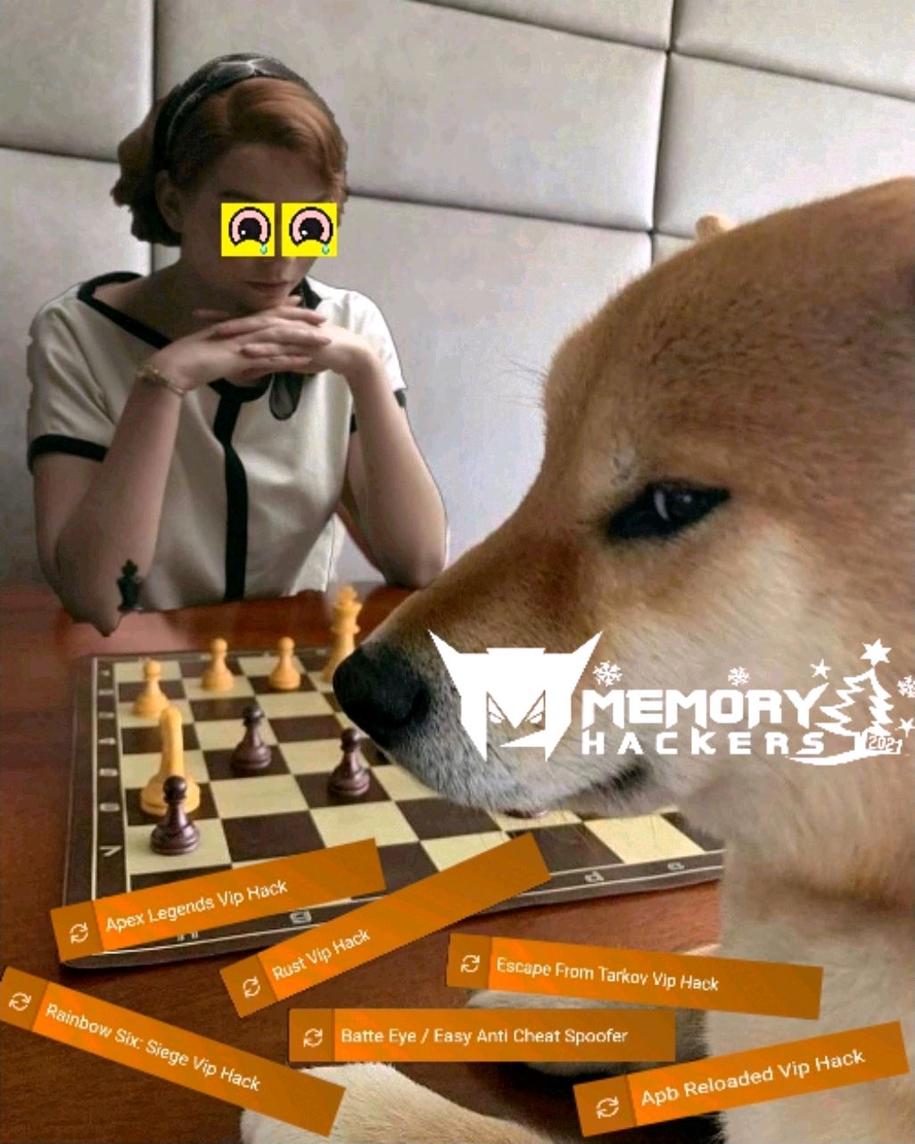 lightshot_1609289976.jpeg