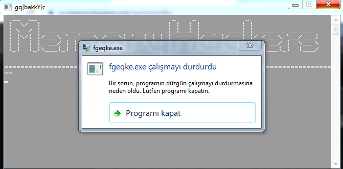 memoru.PNG