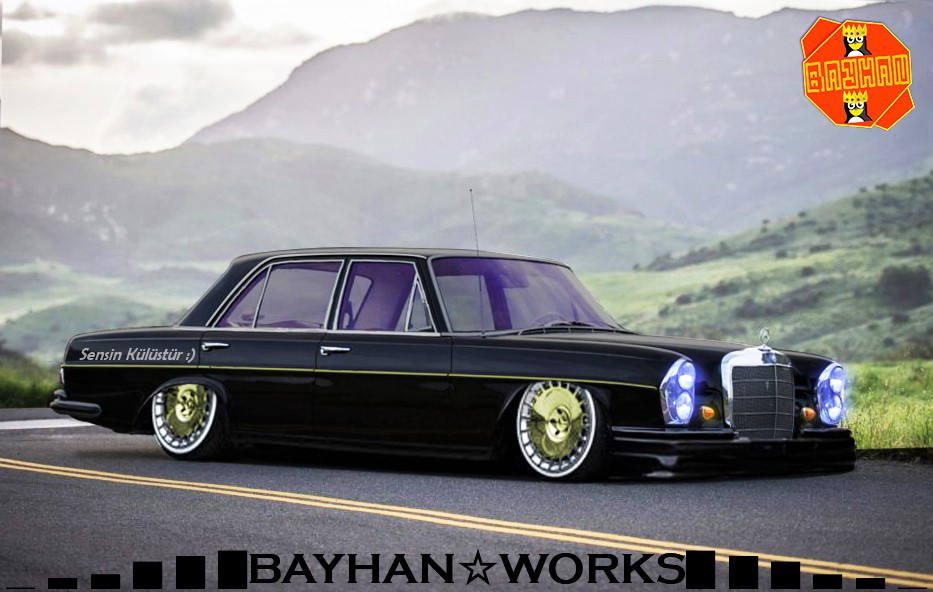 MERCEDES - 250s 2.jpg