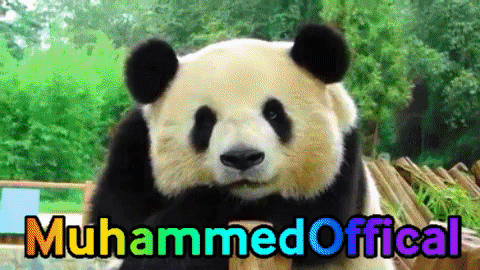 Muhammed Offficla.gif