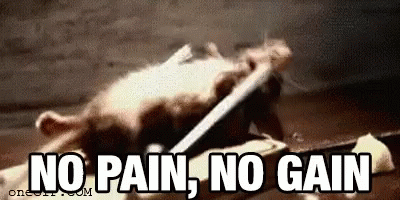 no-pain-no-gain-workout.gif