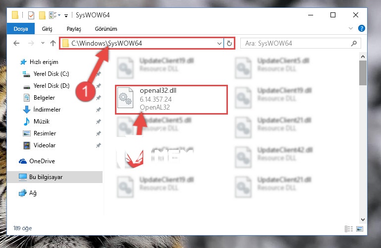 openal32-dll-kutuphanesini-windows-syswow64-klasorune-yapistirma.jpg