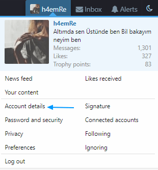 Opera Anlık Görüntü_2019-05-04_134909_memoryhackers.org.png