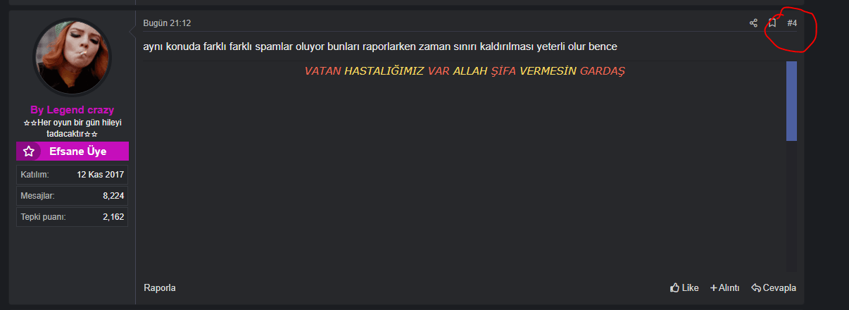 örnek 1.PNG