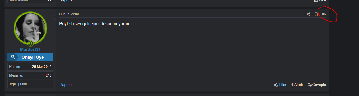 örnek 2.PNG