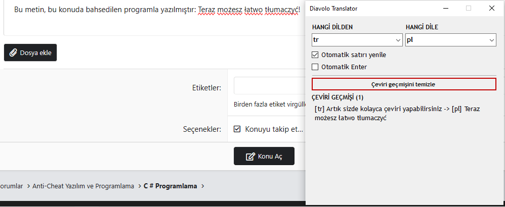 Örnek çeviri.PNG