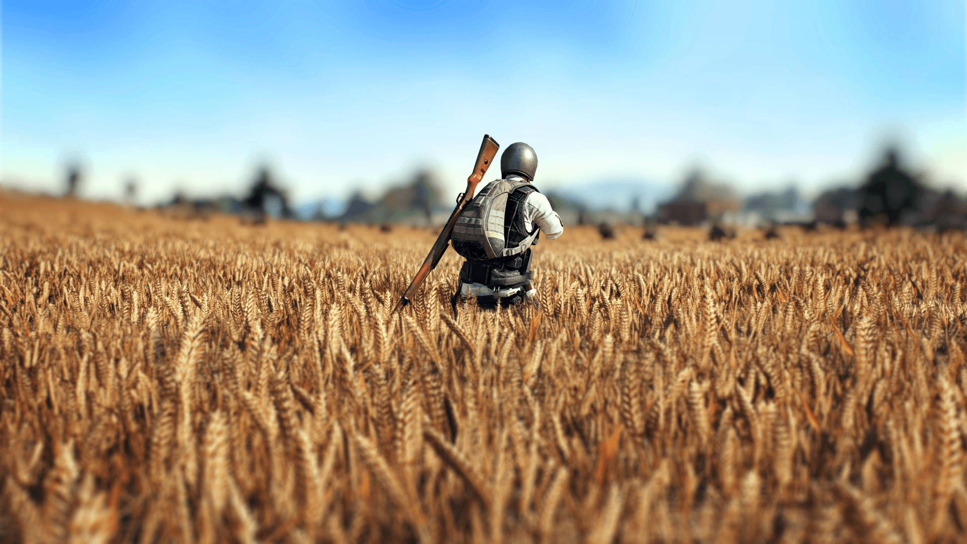 pubg-full-screen-wheat-field-z7qa3dsf3mqsie67.jpg