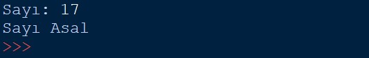 python-asal-sayi1.jpg