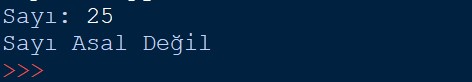 python-asal-sayi2.jpg