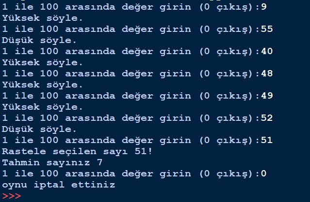 python-sayi-tahmin.jpg