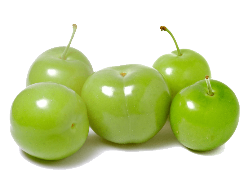 resim_2023-04-22_110300189.png