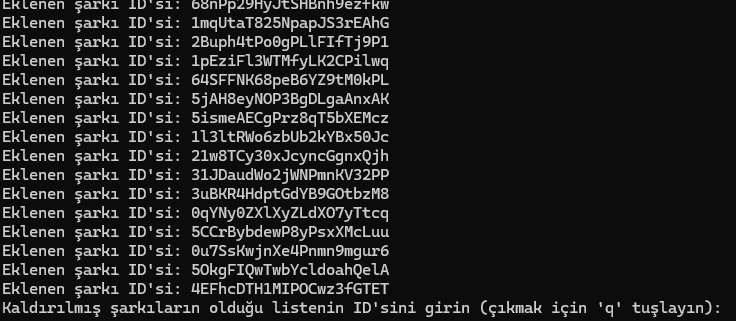 resim_2024-12-19_192038081.png