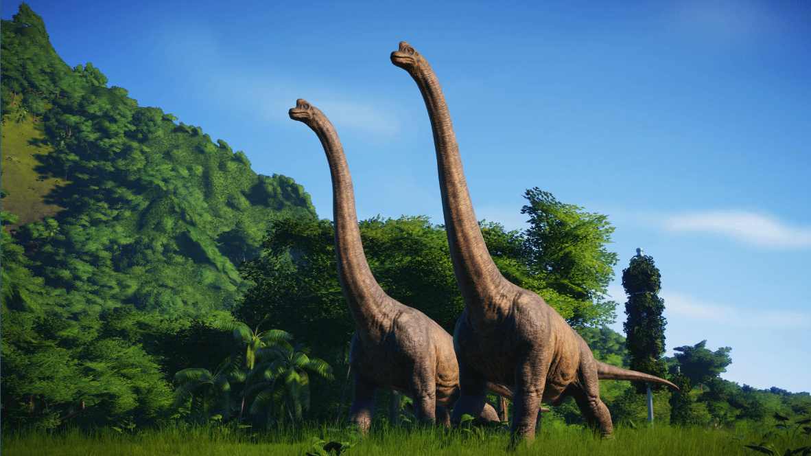 Screenshot_1.jpg