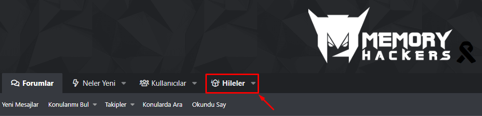 MemoryUI Giriş alanı