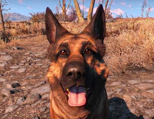 Screenshot_5.png