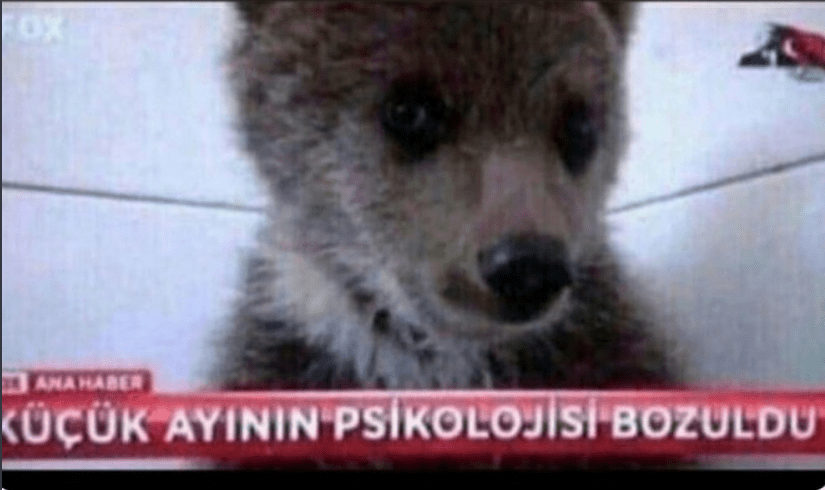 Screenshot_7.png