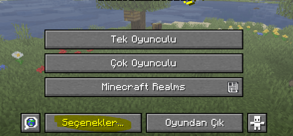 seçenekler.PNG