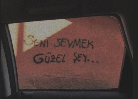 senisevmek.png