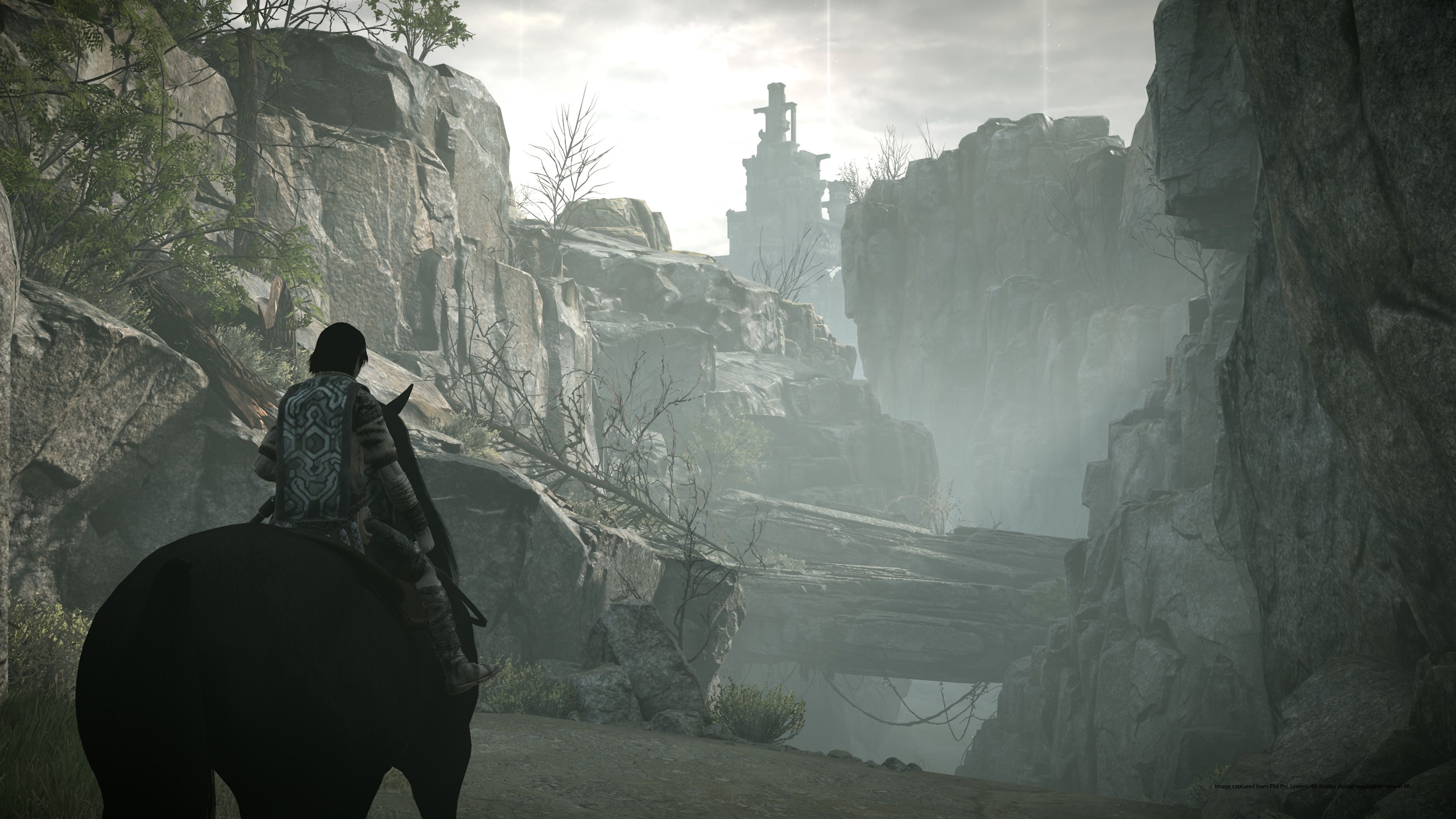 Shadow-of-the-Colossus_12.jpg
