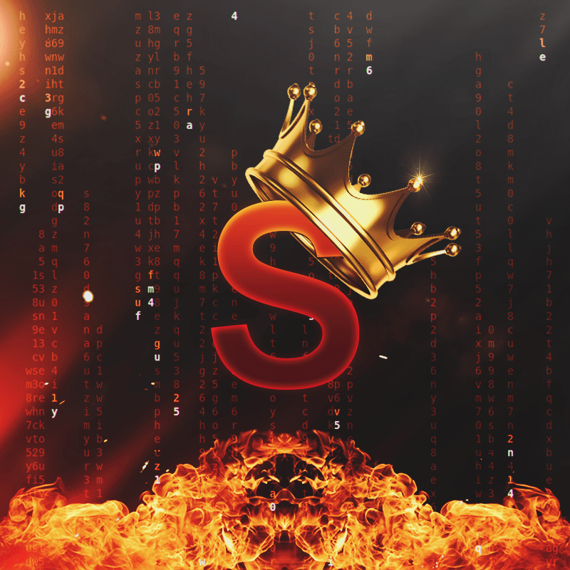 SHecker AVATAR.png