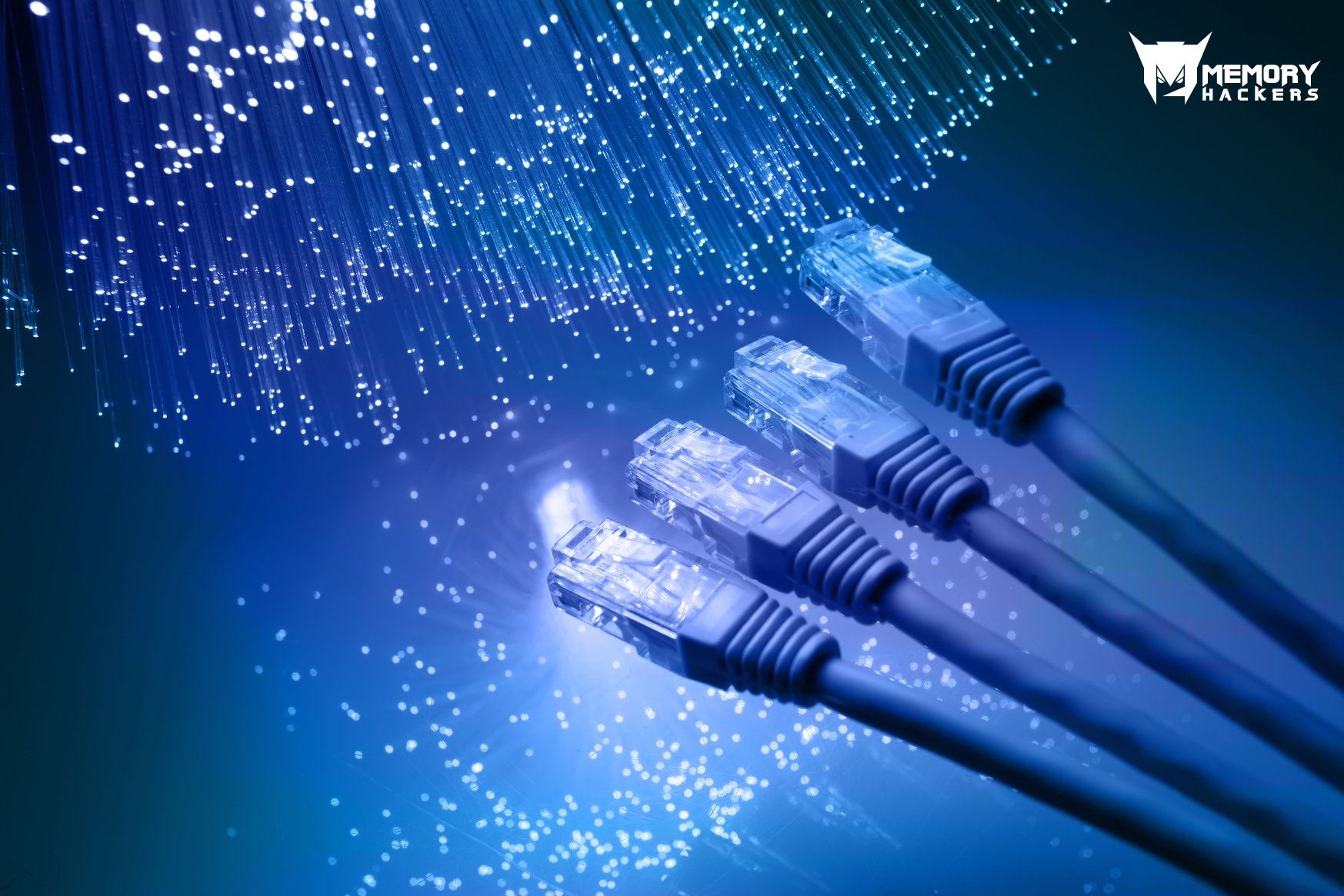 shutterstock_fiber.jpg