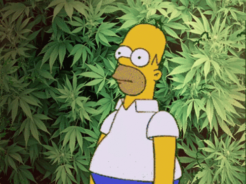 simpsoıns.gif
