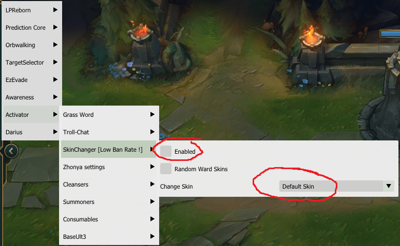 skin.png