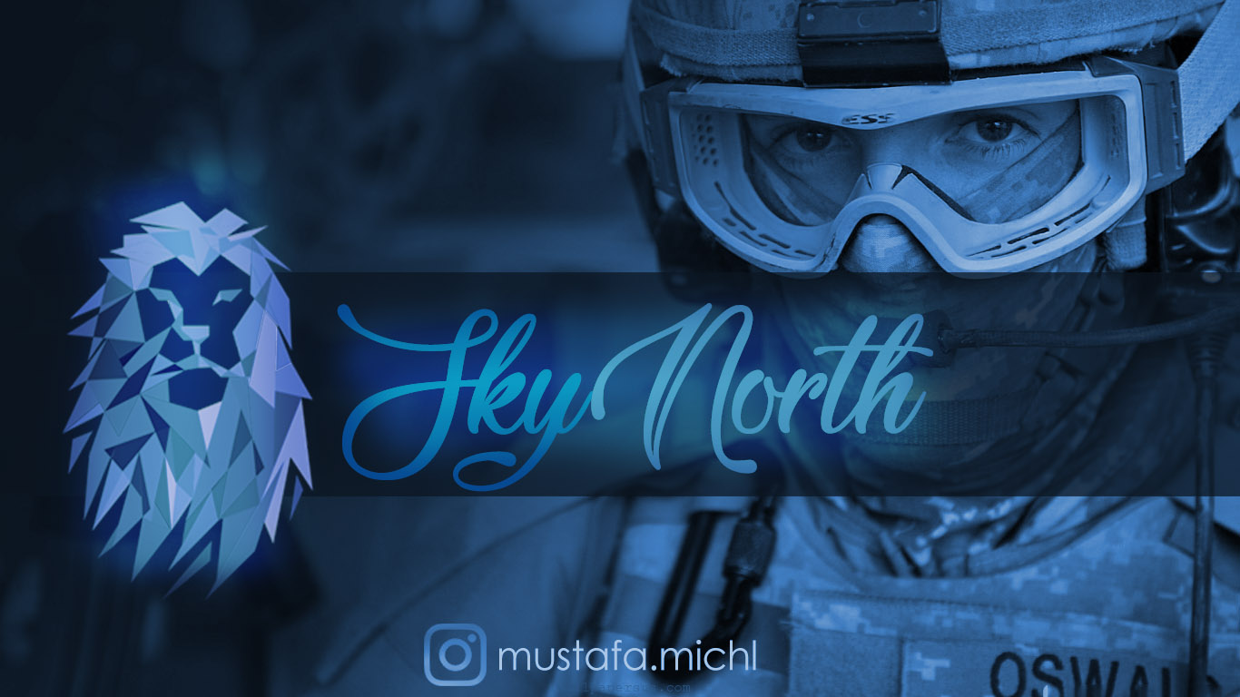 skynorth logo.jpg