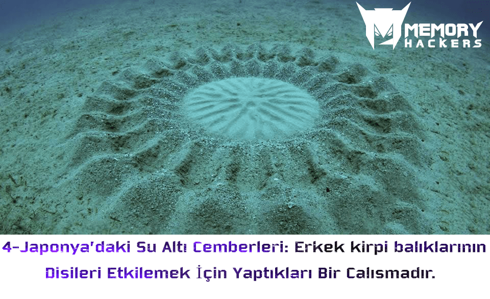 Su-alti-cemberi.png