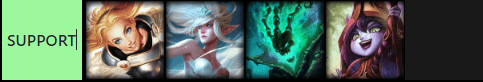 SUPP.png