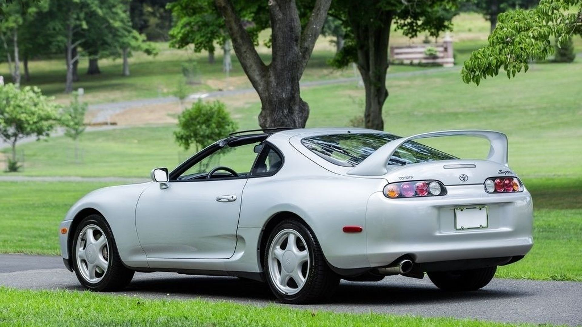 SUPRA 0.jpg