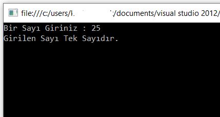 tekcift1.jpg