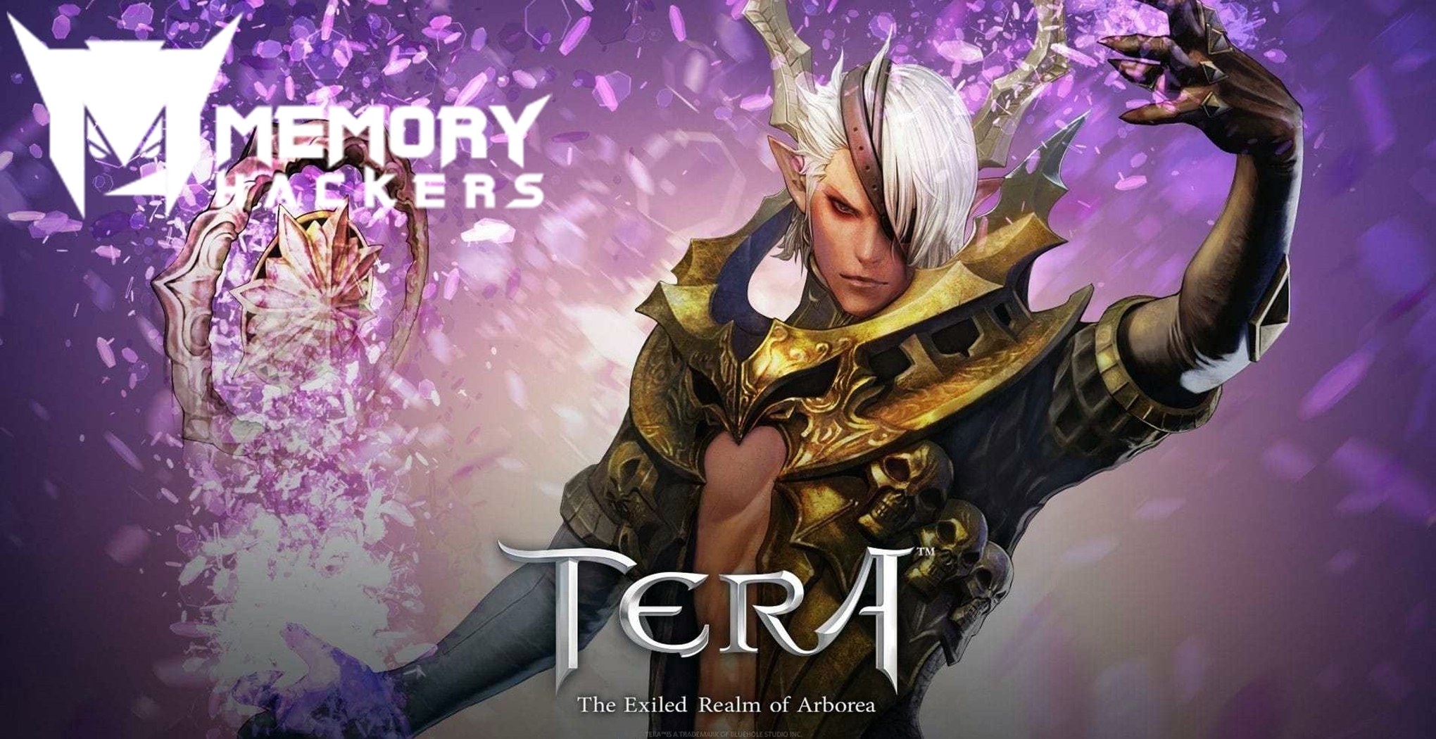 TERA_ONLINE_fantasy_adventure_game__53__1920x1200-min.jpg
