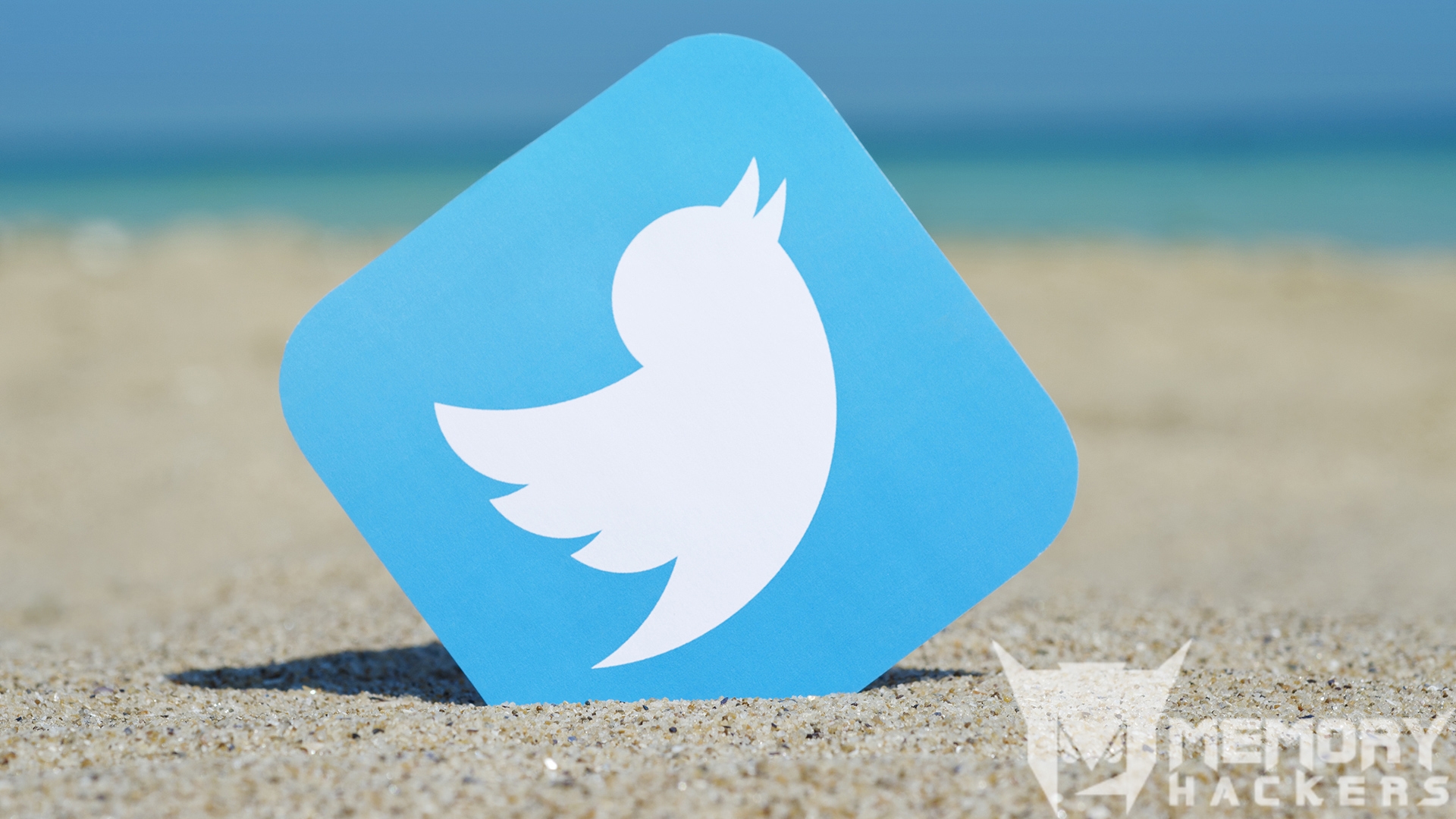 twitter-bird-logo-beach-ss-1920.jpg