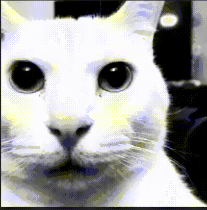 uncanny-cat-robert-helpmann.png