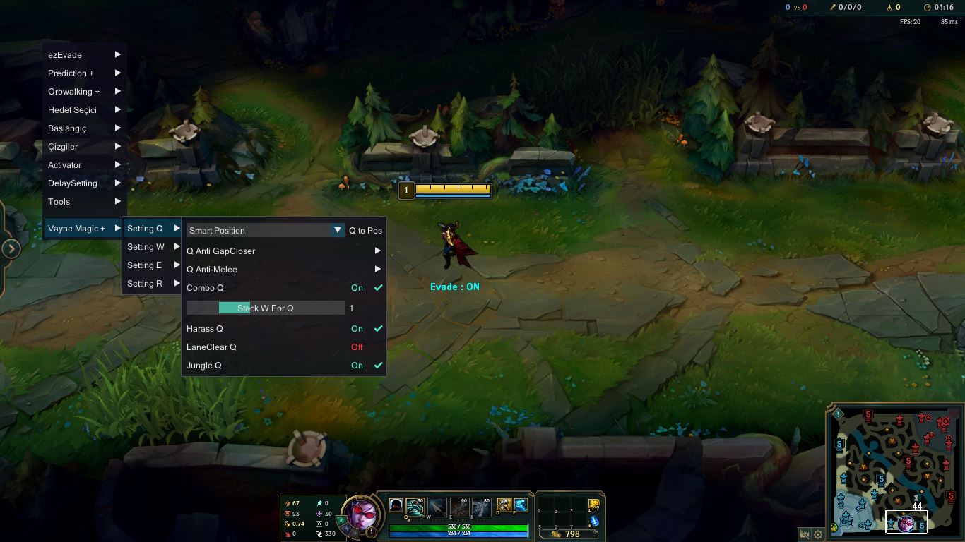 vayne1.JPG