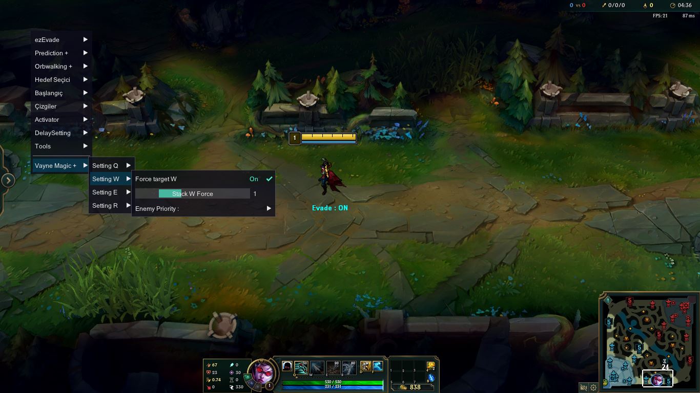 vayne2.JPG