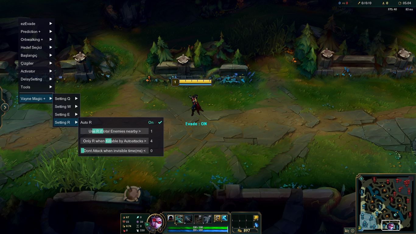 vayne4.JPG