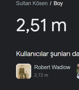 w.PNG