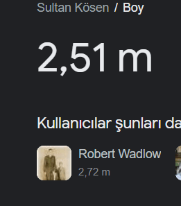 w.PNG