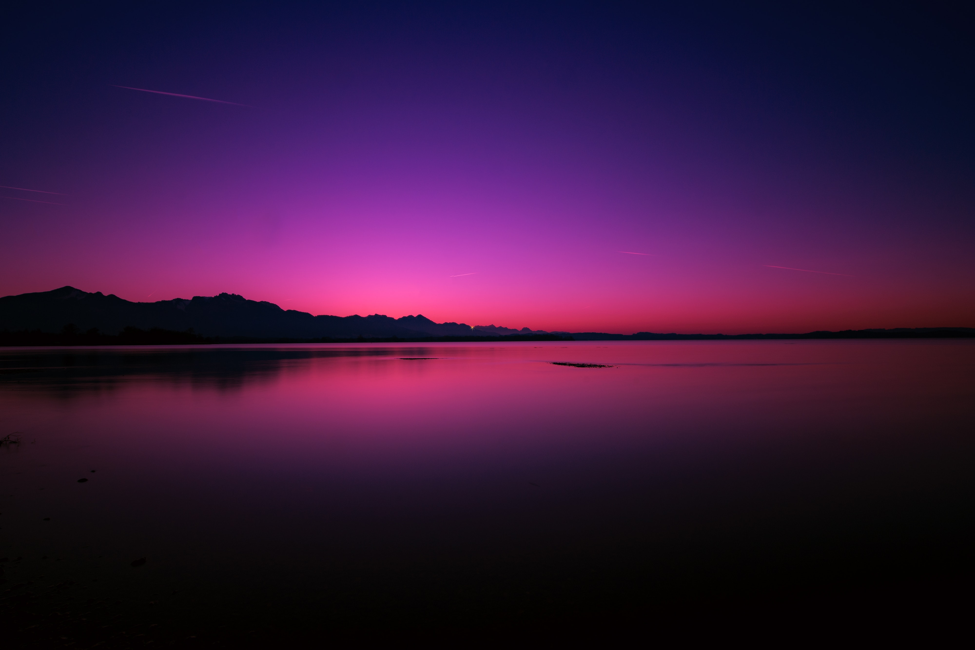 Wallpaper.jpg