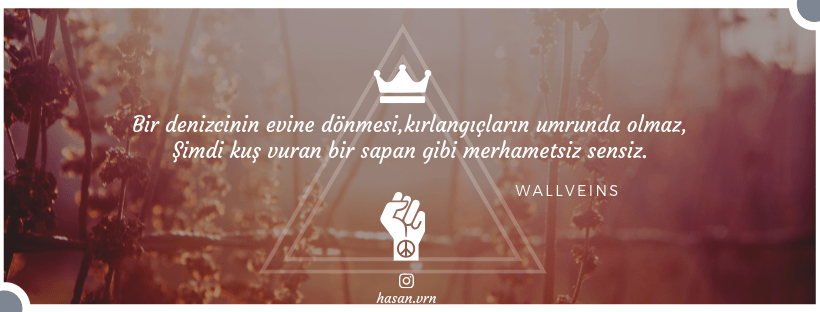 Wallveins - MemoryHackers - 2.png