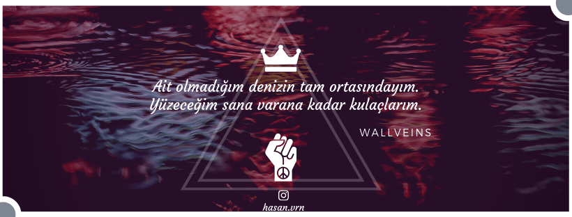 Wallveins - MemoryHackers - 3.png